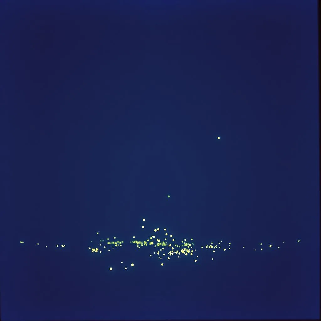 Under the Moonlight