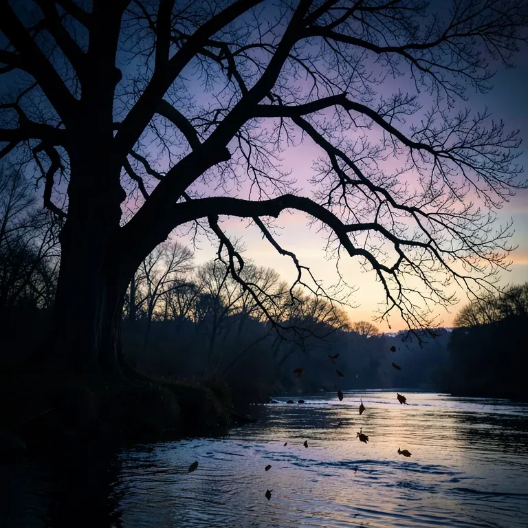 When the river runs