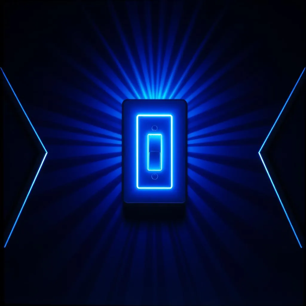 LIGHT SWITCH.