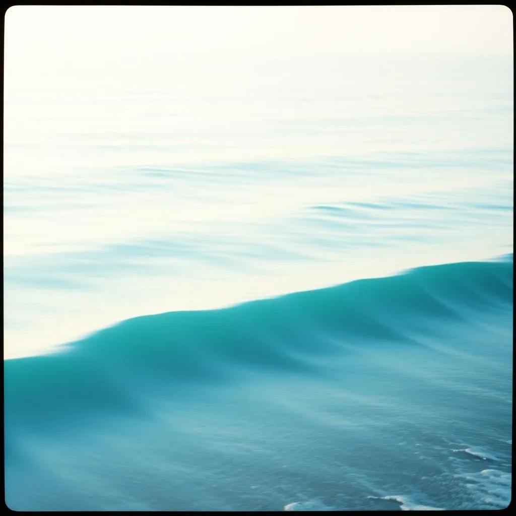 Ocean Serenade