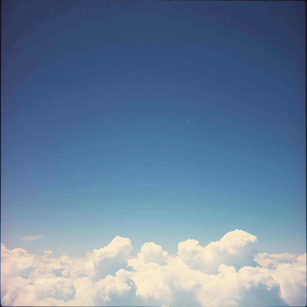 Dream of Paradise