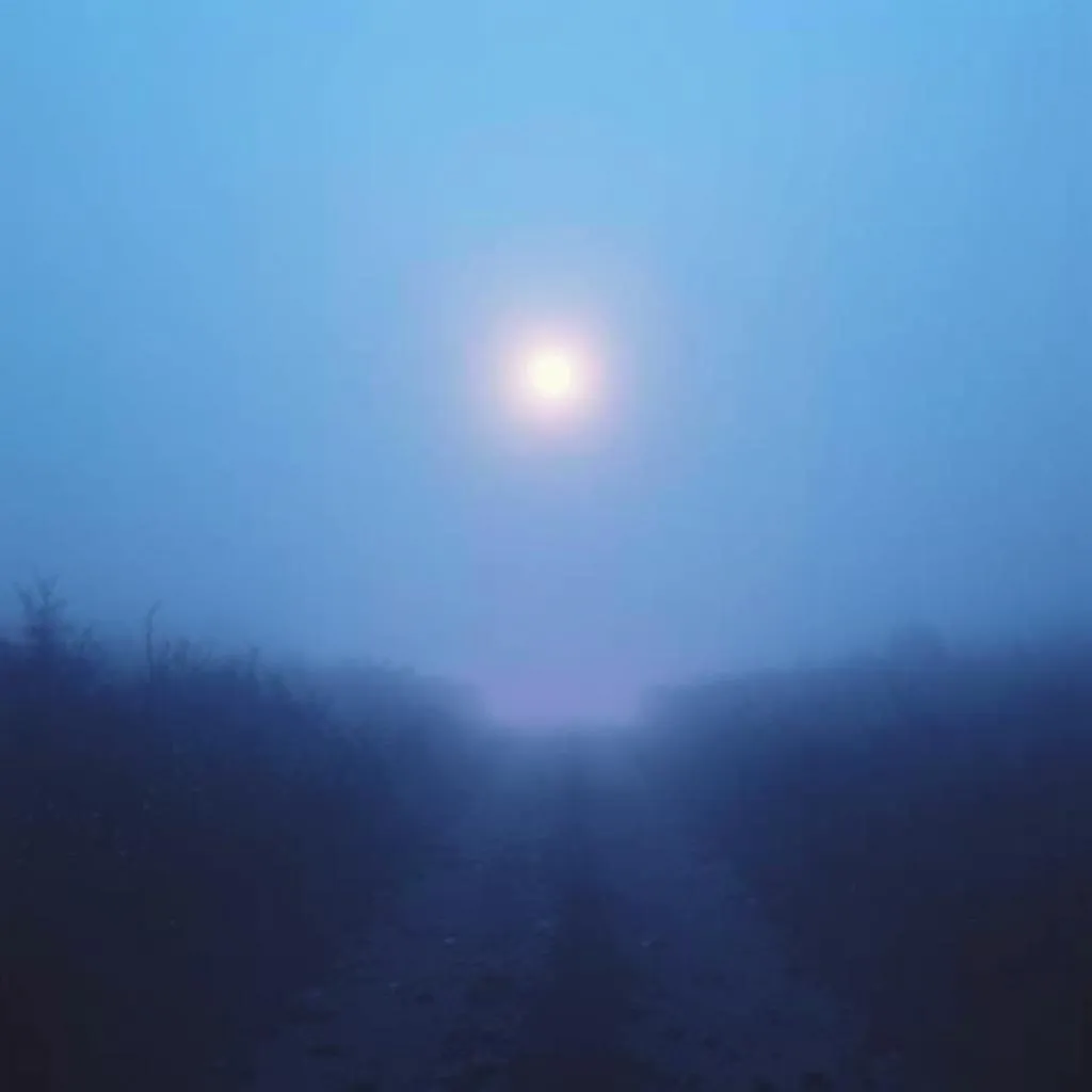 Echoes of You