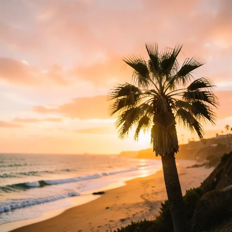 Josh in California