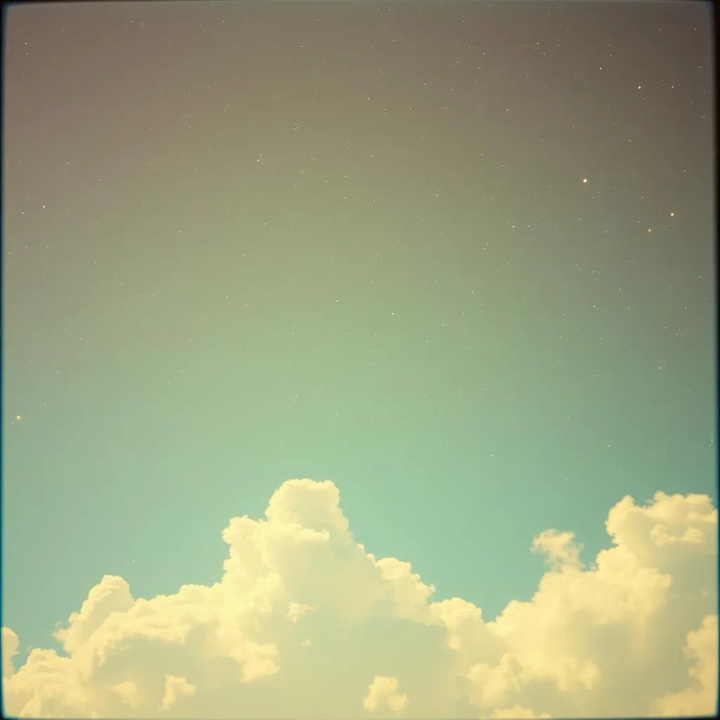 星光里的她 (She in the Starlight)