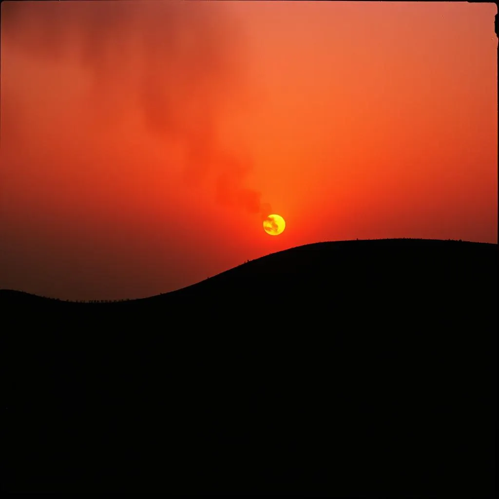 Burning Shadows