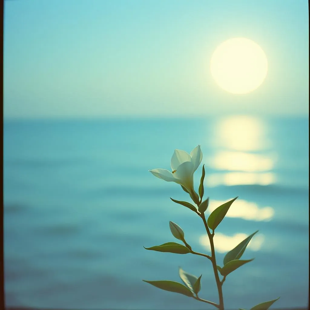 Heatwave of You