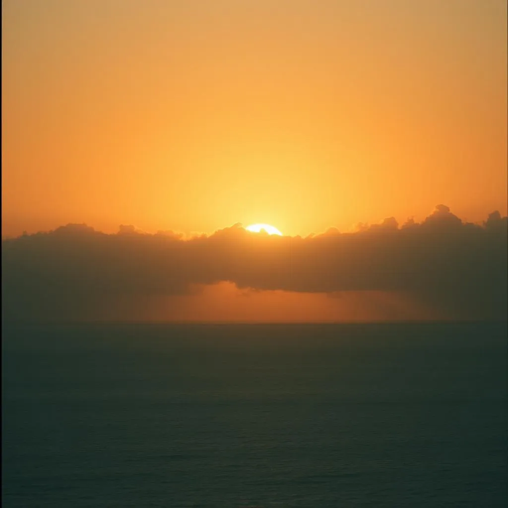 Alba