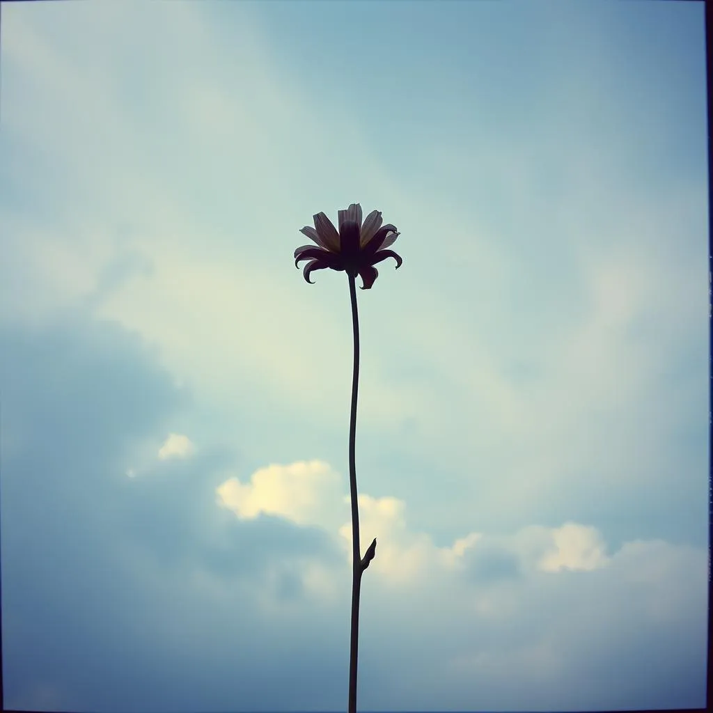 Lost Desire