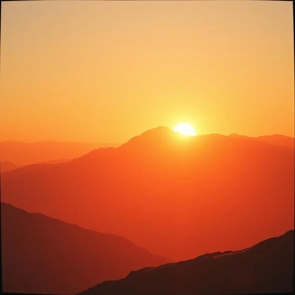Rise of the Dawn