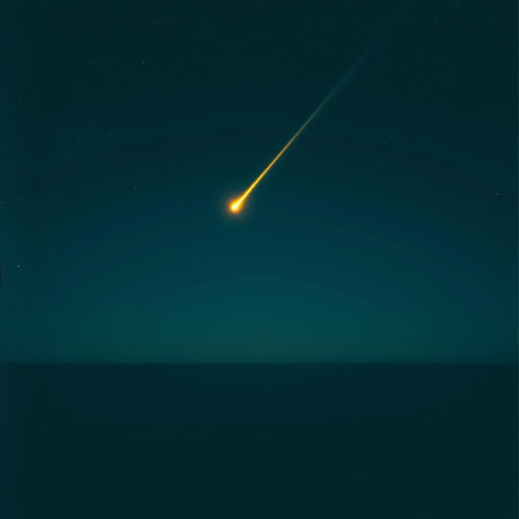 Stars in the Night