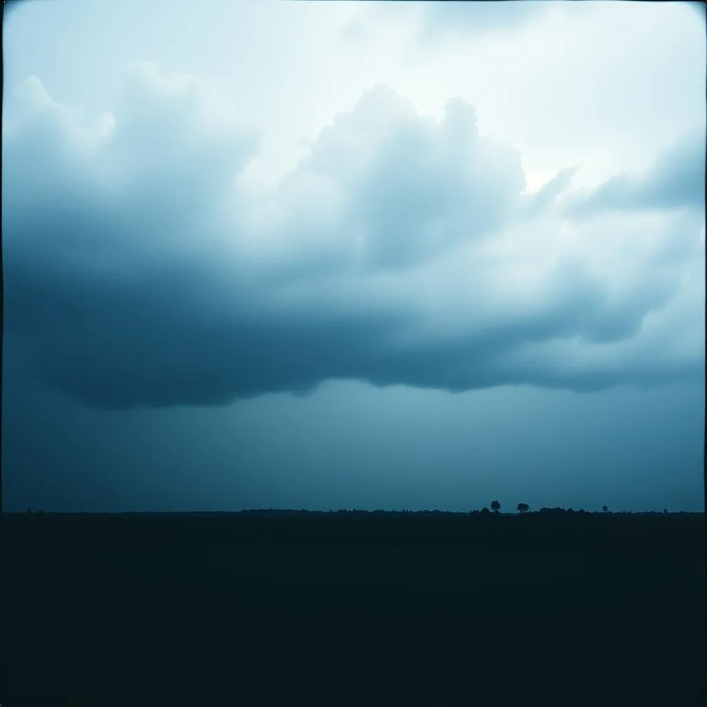 Viniste en silencio
