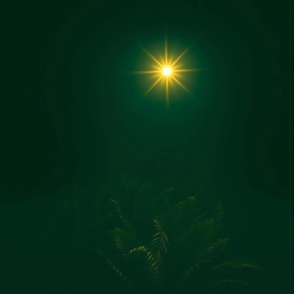 Silma, My Guiding Light