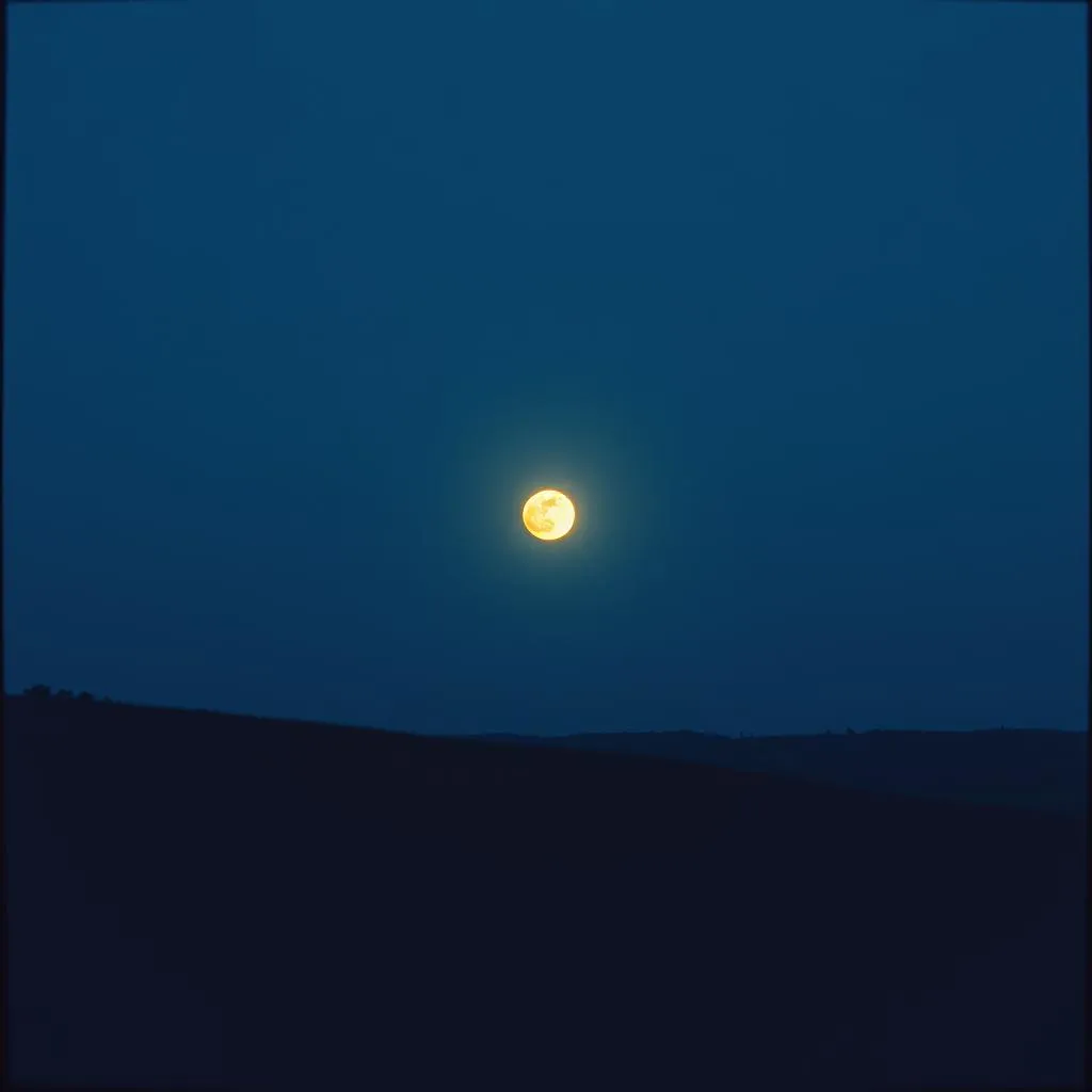 Silent Moon