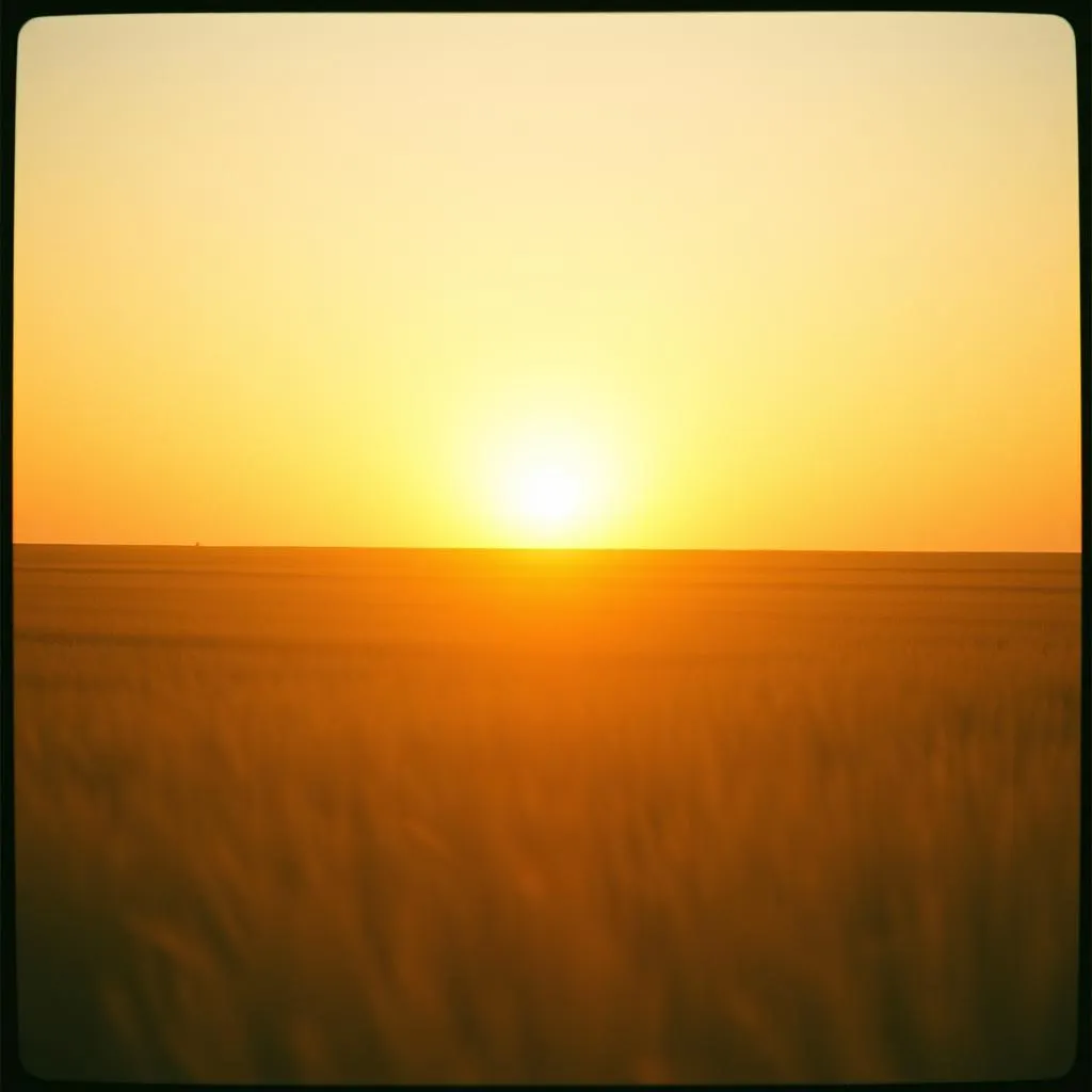 Chasin’ The Sun