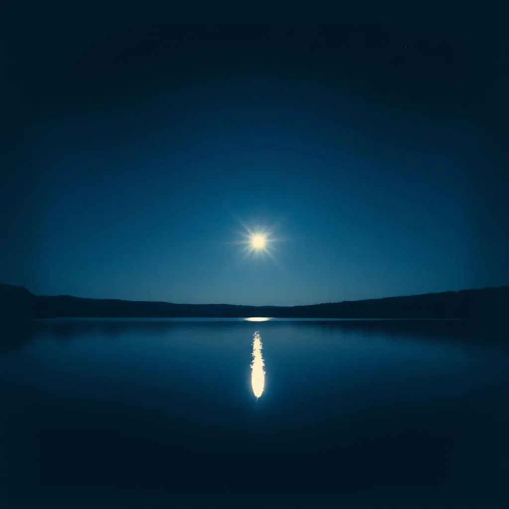 Nights