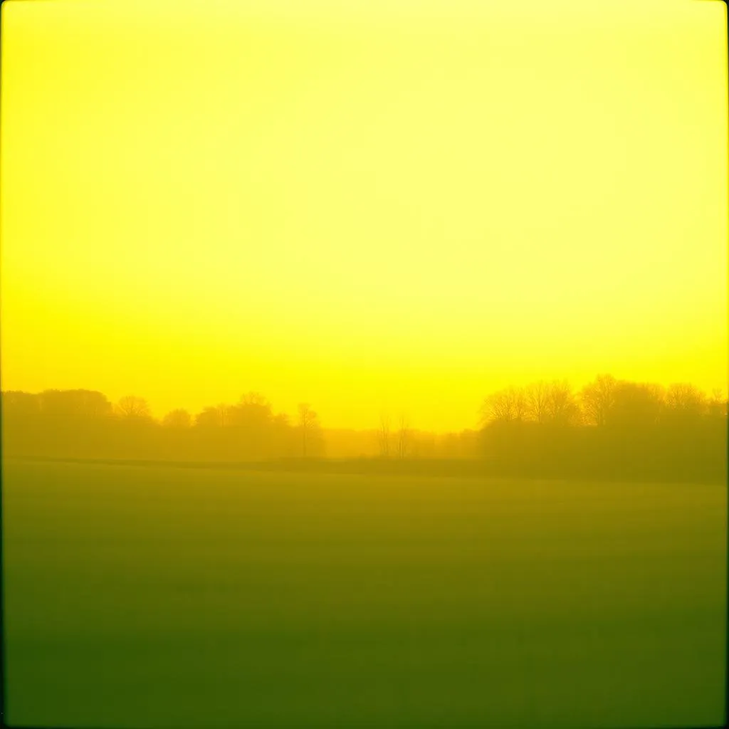 Fields of Dreams