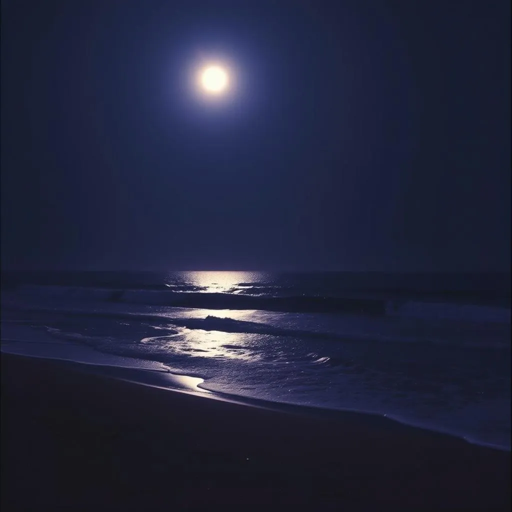 Under the moon