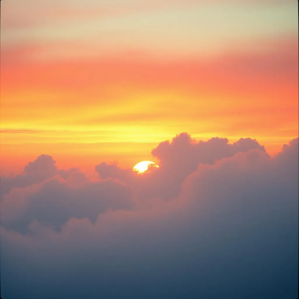 Wink Back at the Sunset
