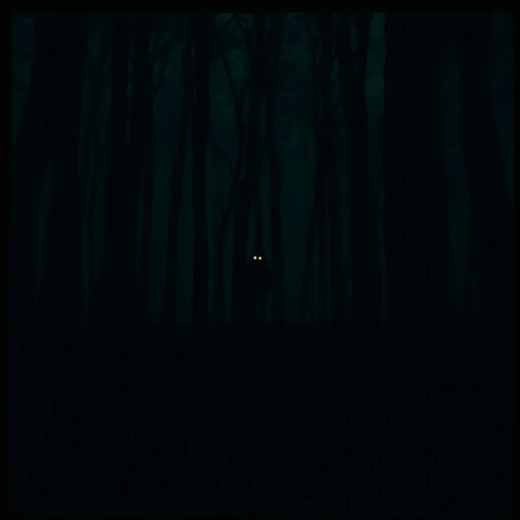 Into The Woods