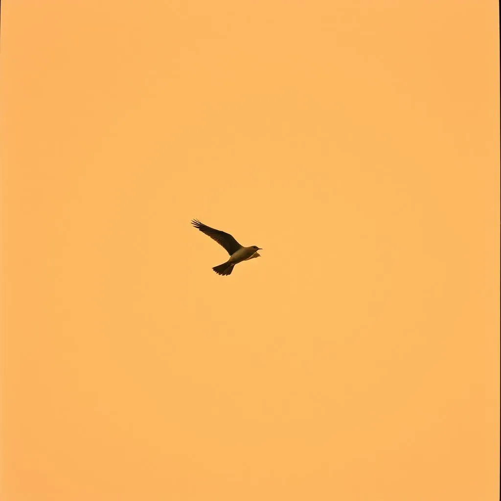 Wings of Rust
