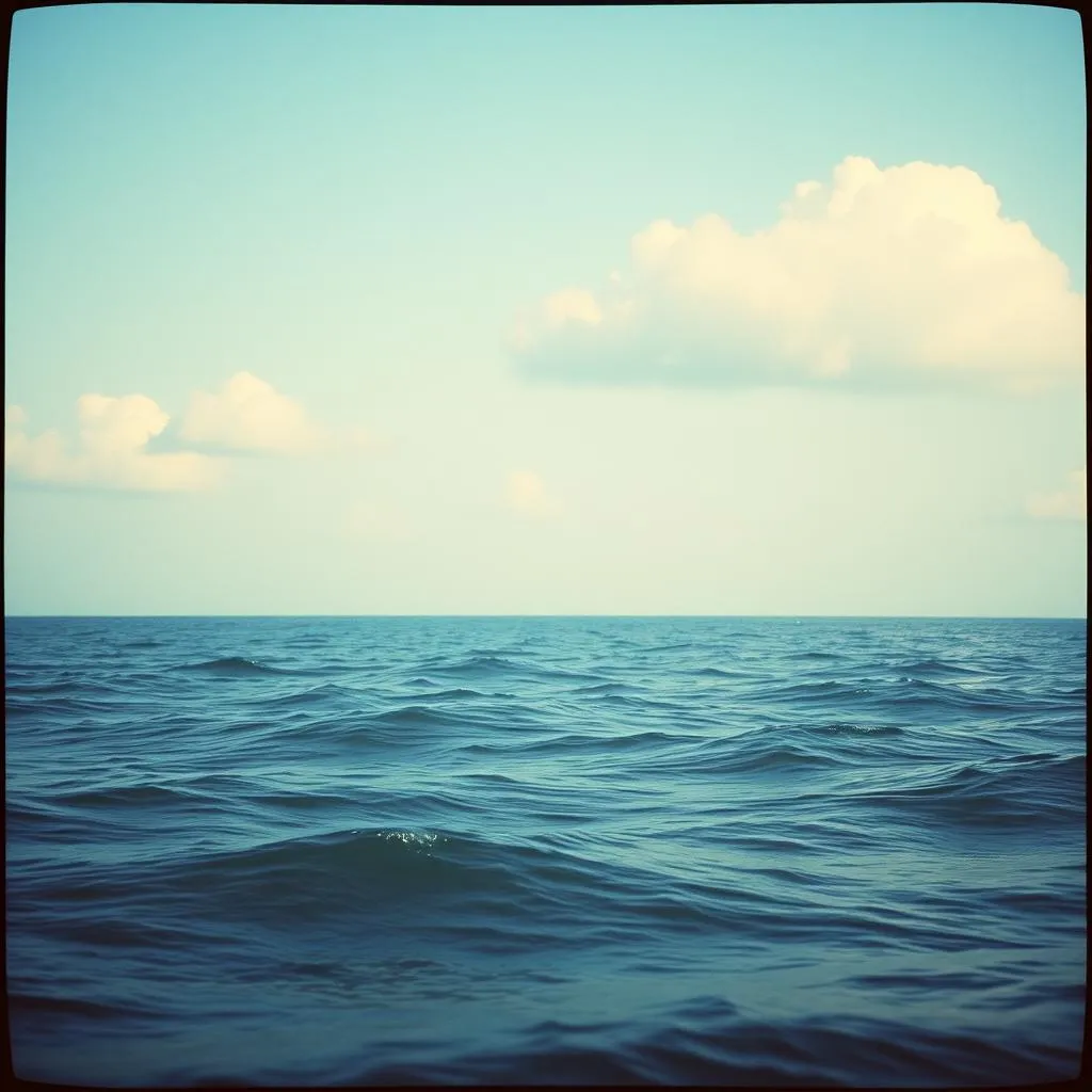 Tranquility Search