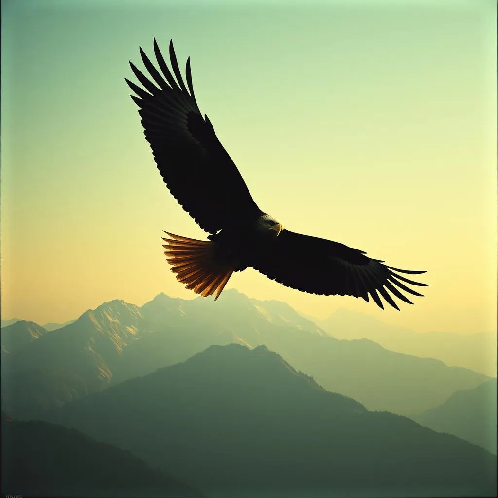 Soaring Heights