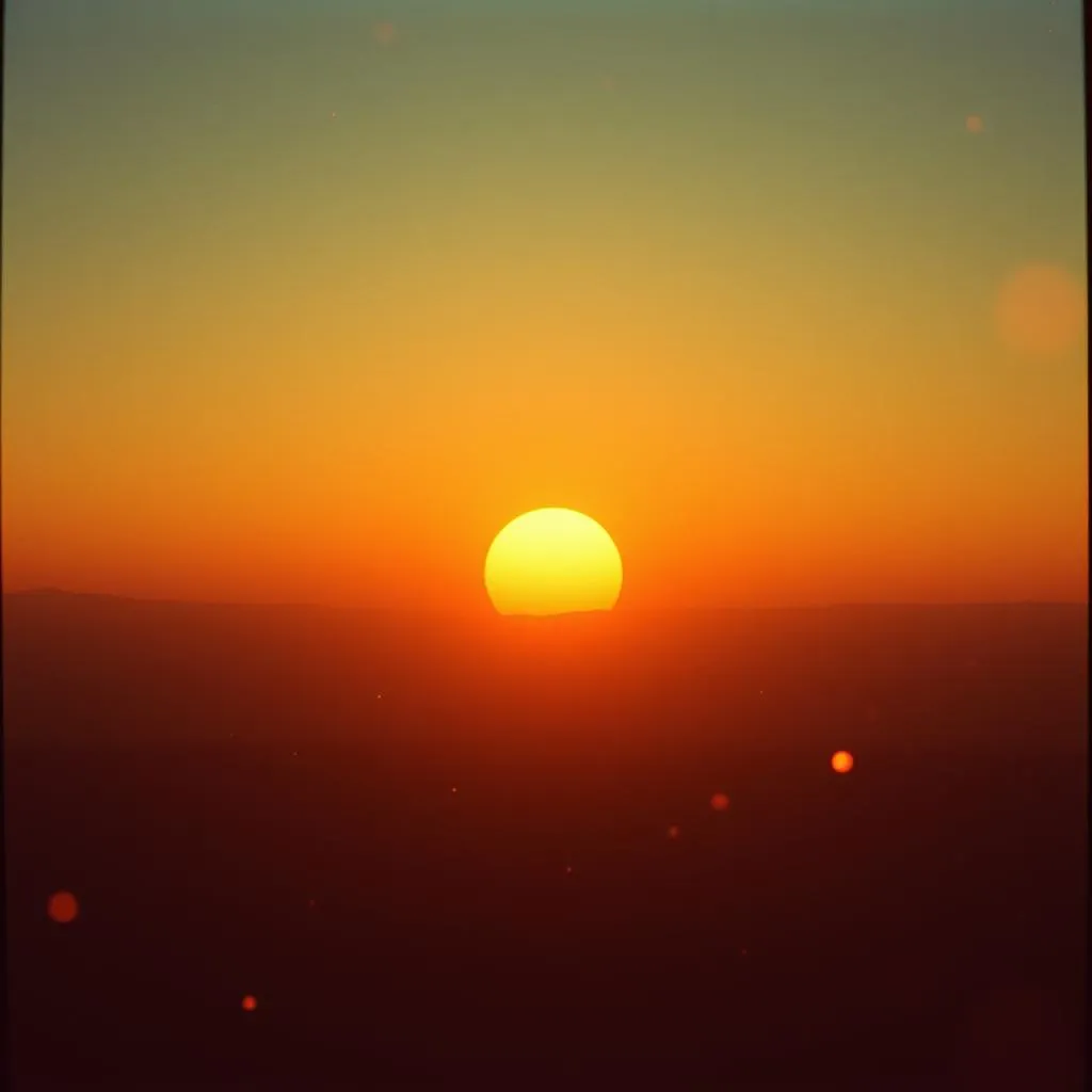 Sunshine Fire