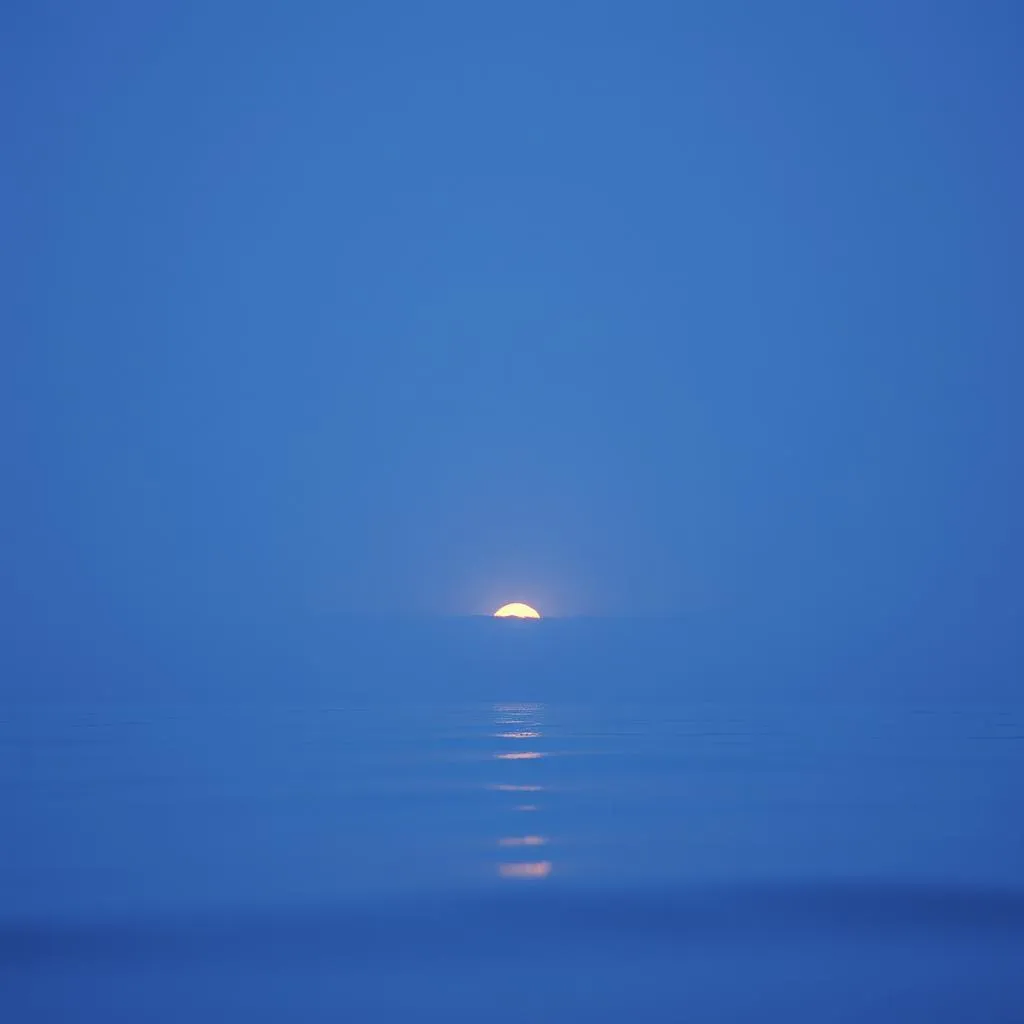 Shining Calm