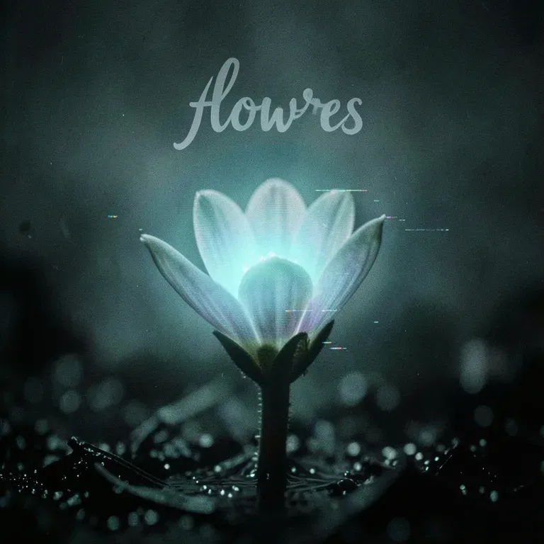 Flawers
