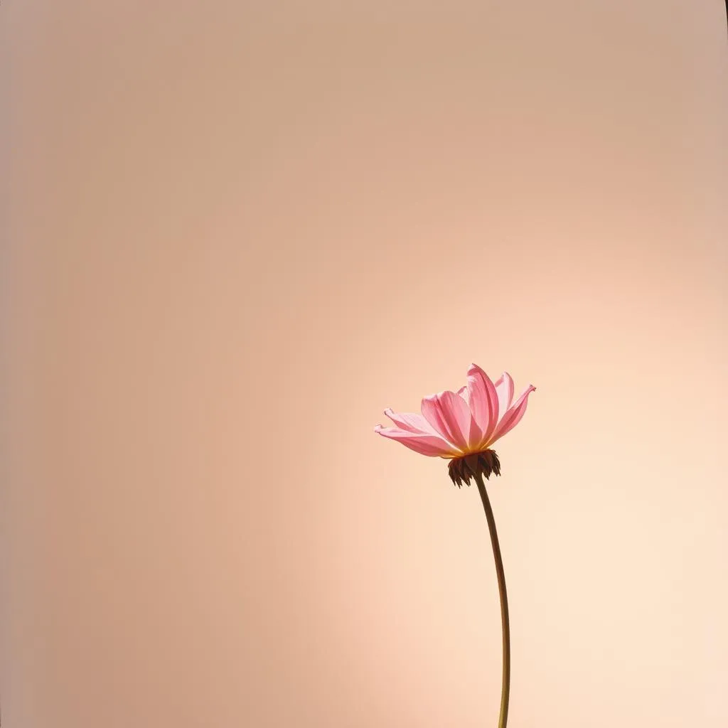 爱你是错吗？