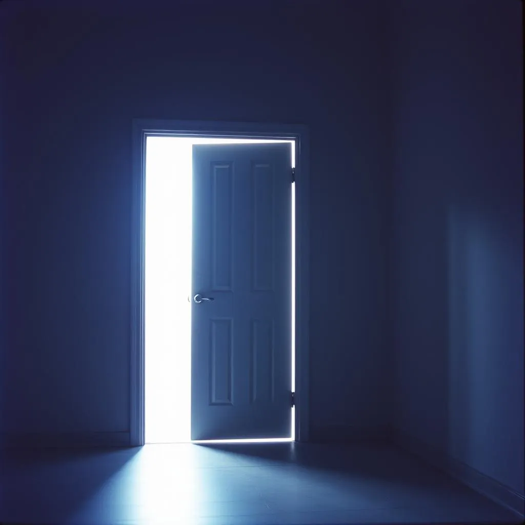 I found the door