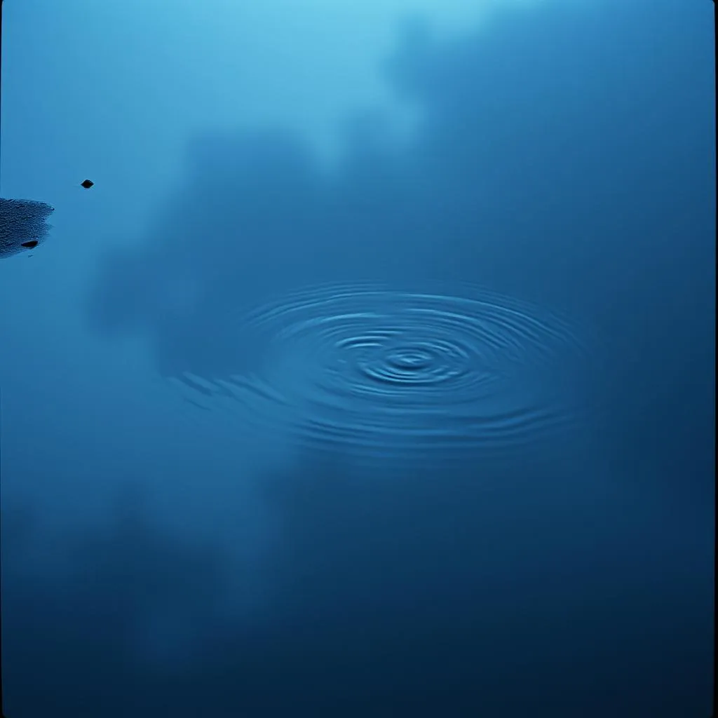 Rainy Reflection