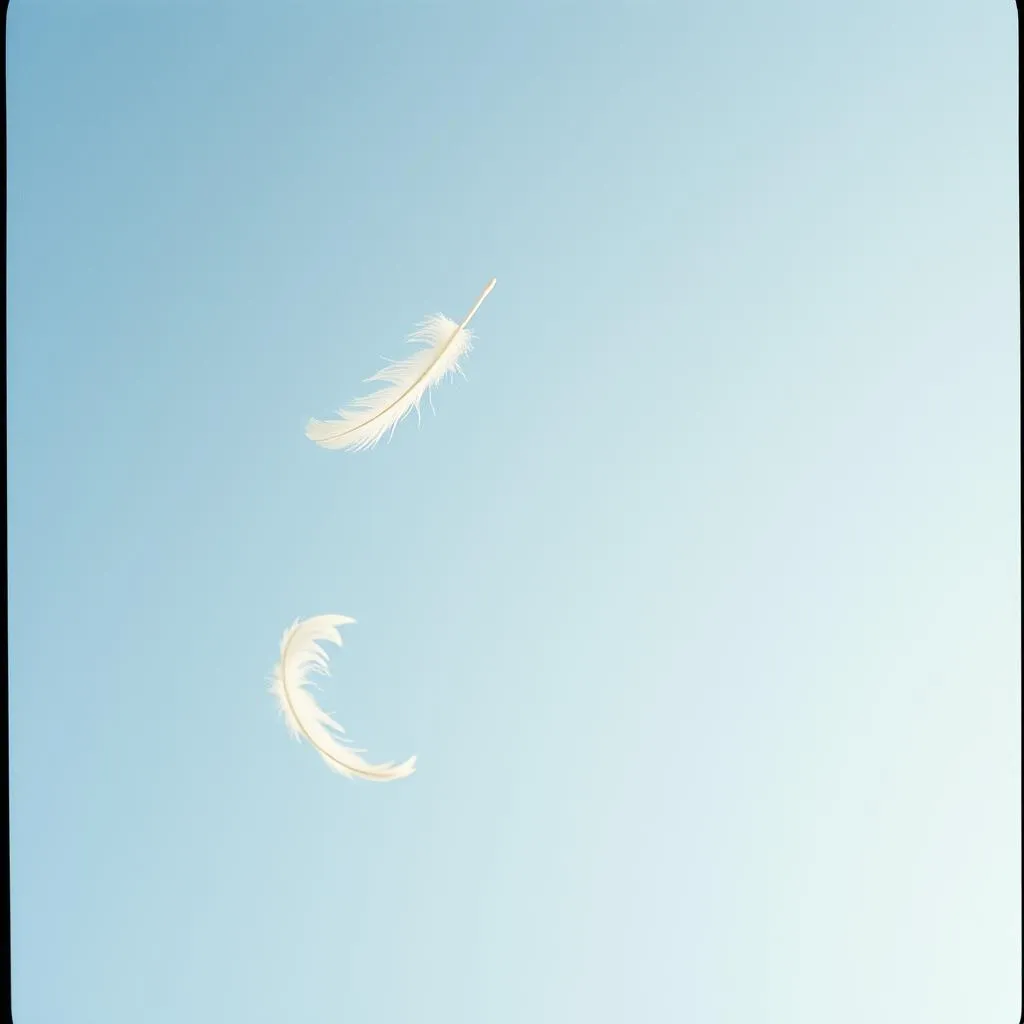Floating in the All