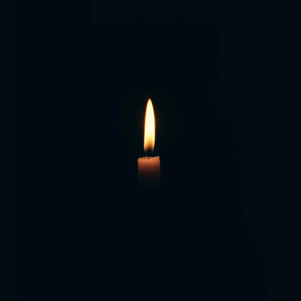 Shadows That Fade Away