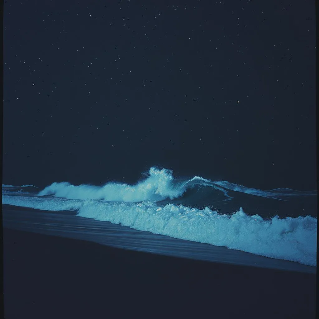 Burn and Drown