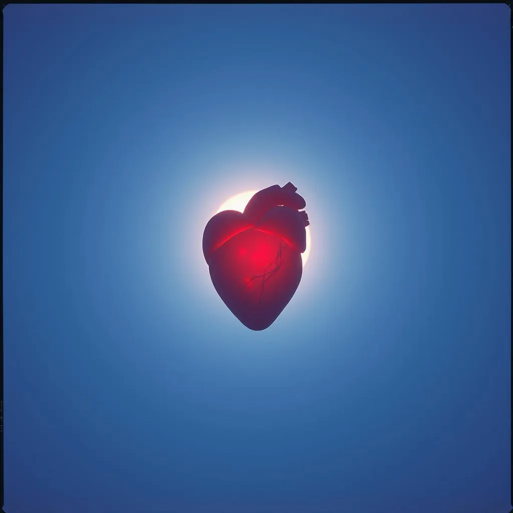 Who Will Mend My Heart?