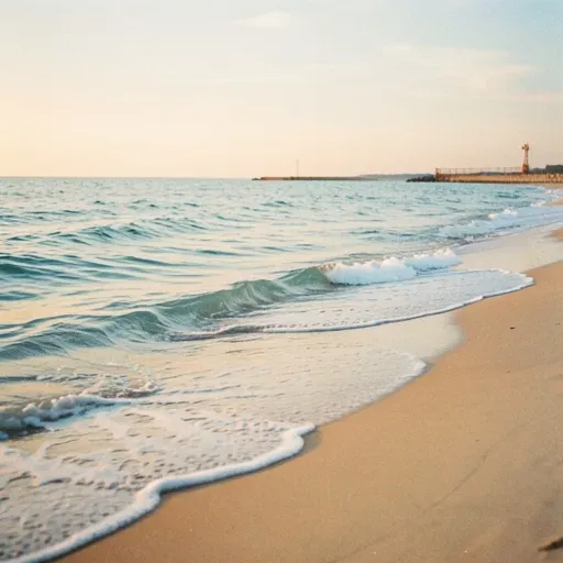 Safe by the Shore