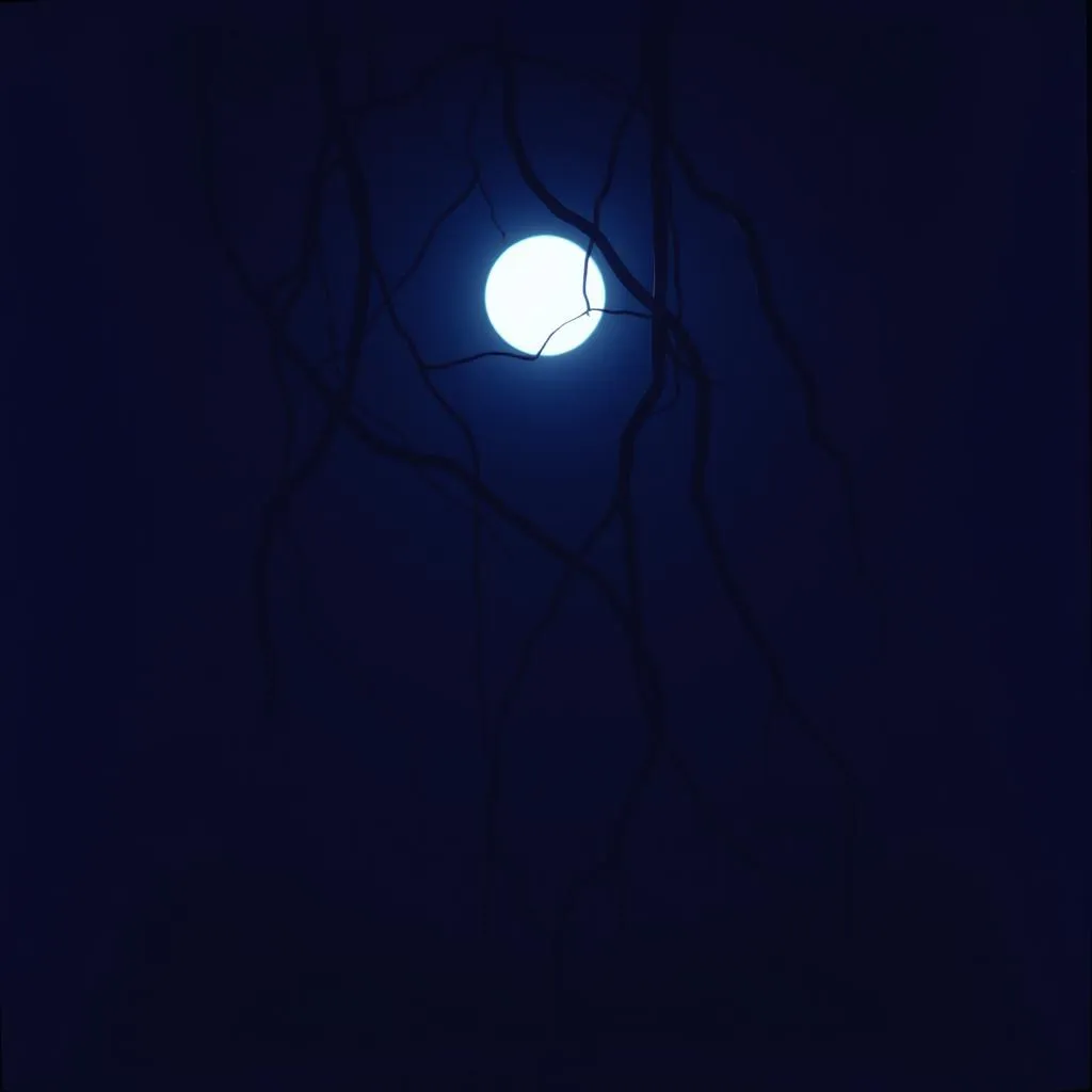 Morning Glory