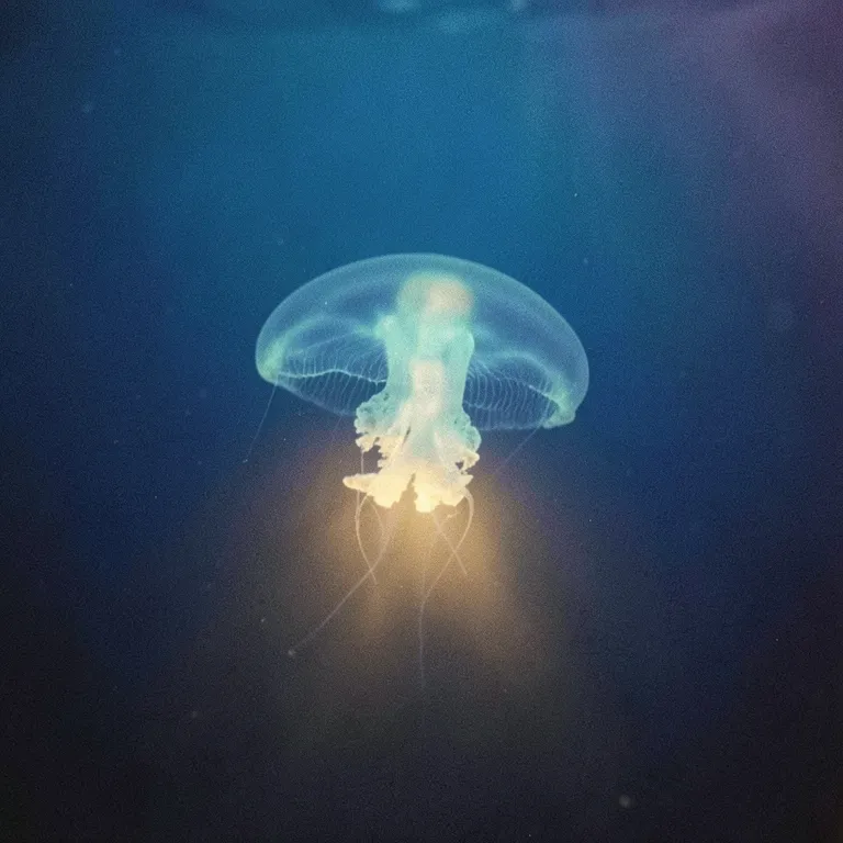 Deep Ocean Blue