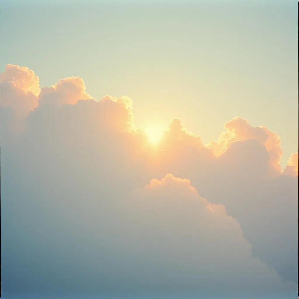 Purpose in the Sky