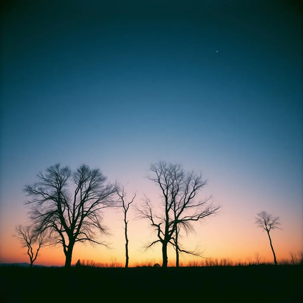 Shadows of the heart