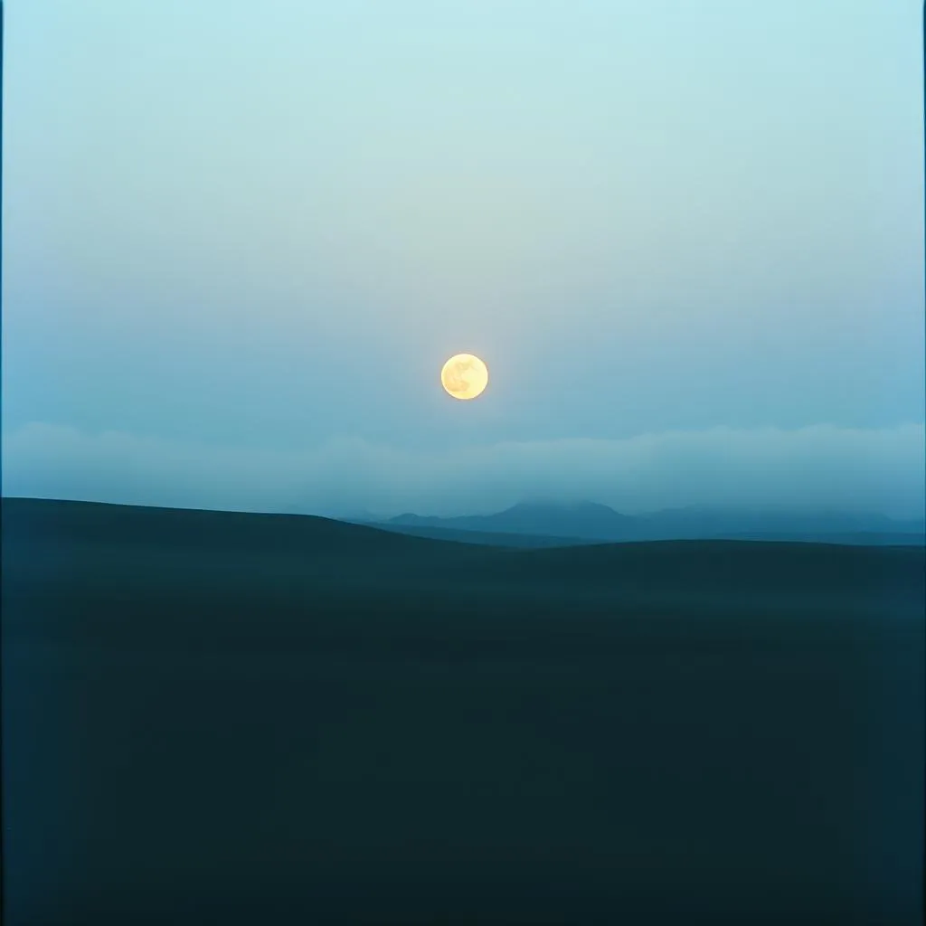 Moonlight Reverie