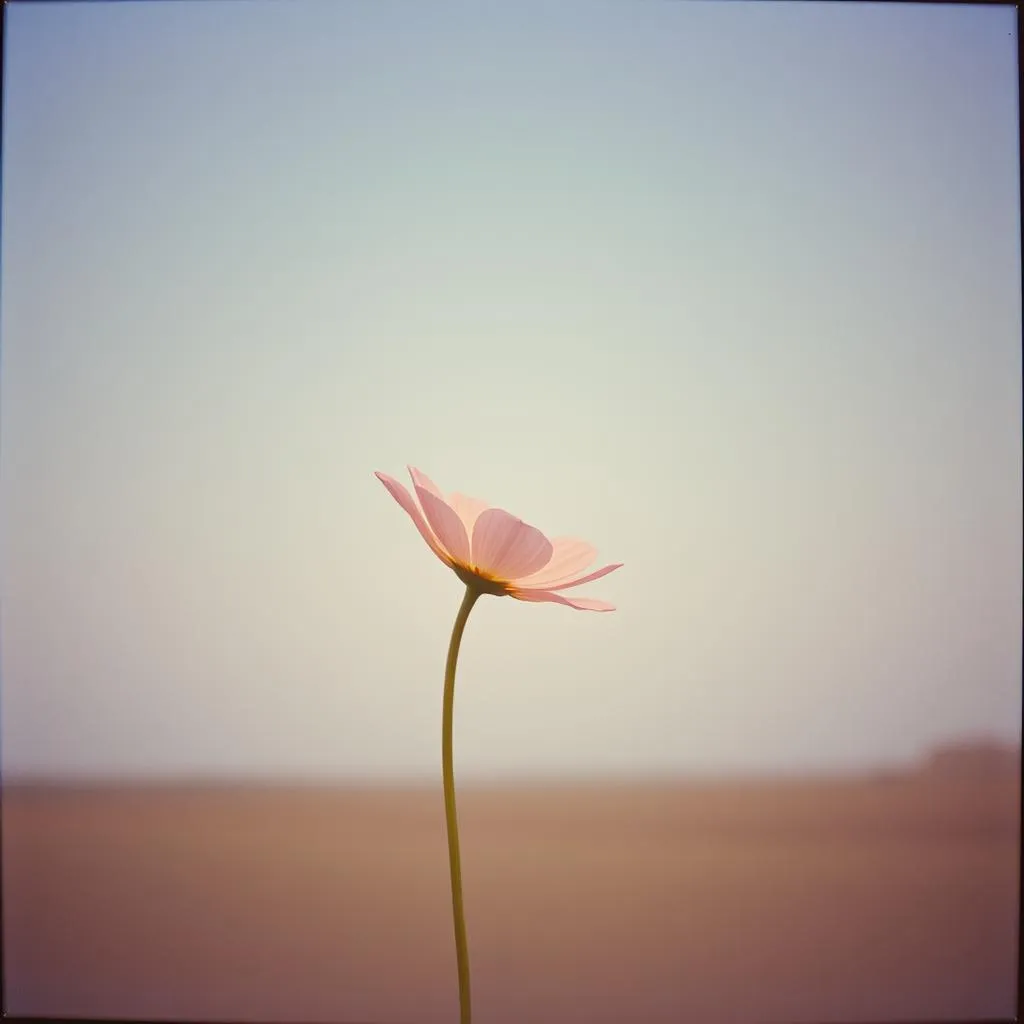 From Friendship To Eternity Forever