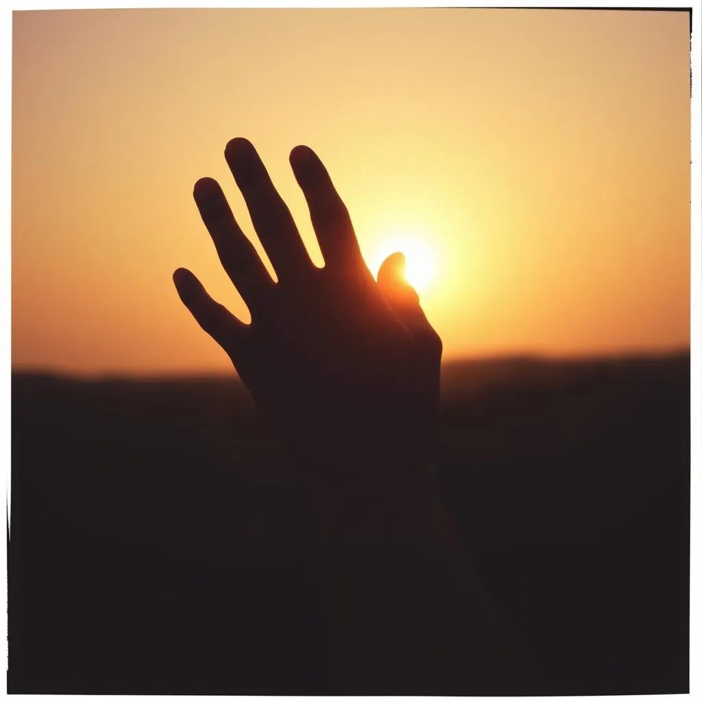Shadows in My Hands