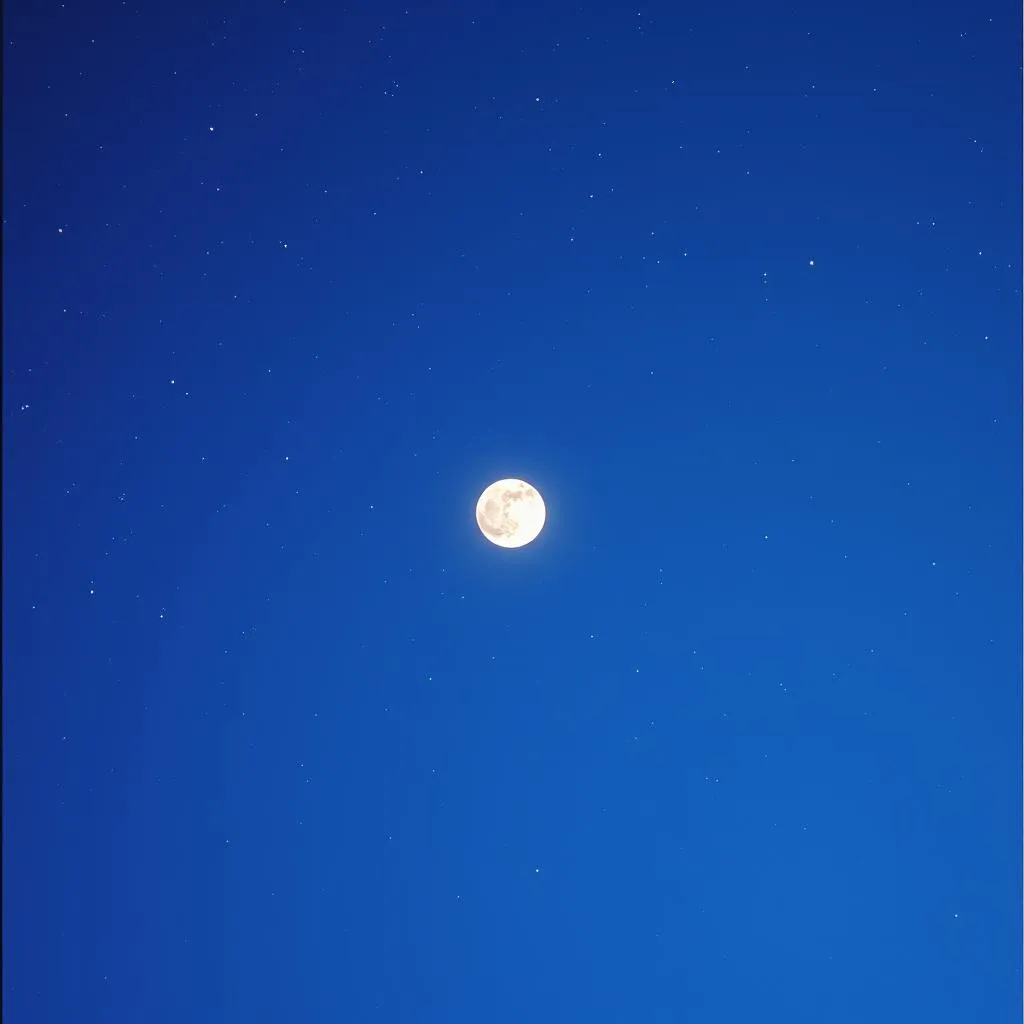 LESHA GOOGLE - looks like the moon