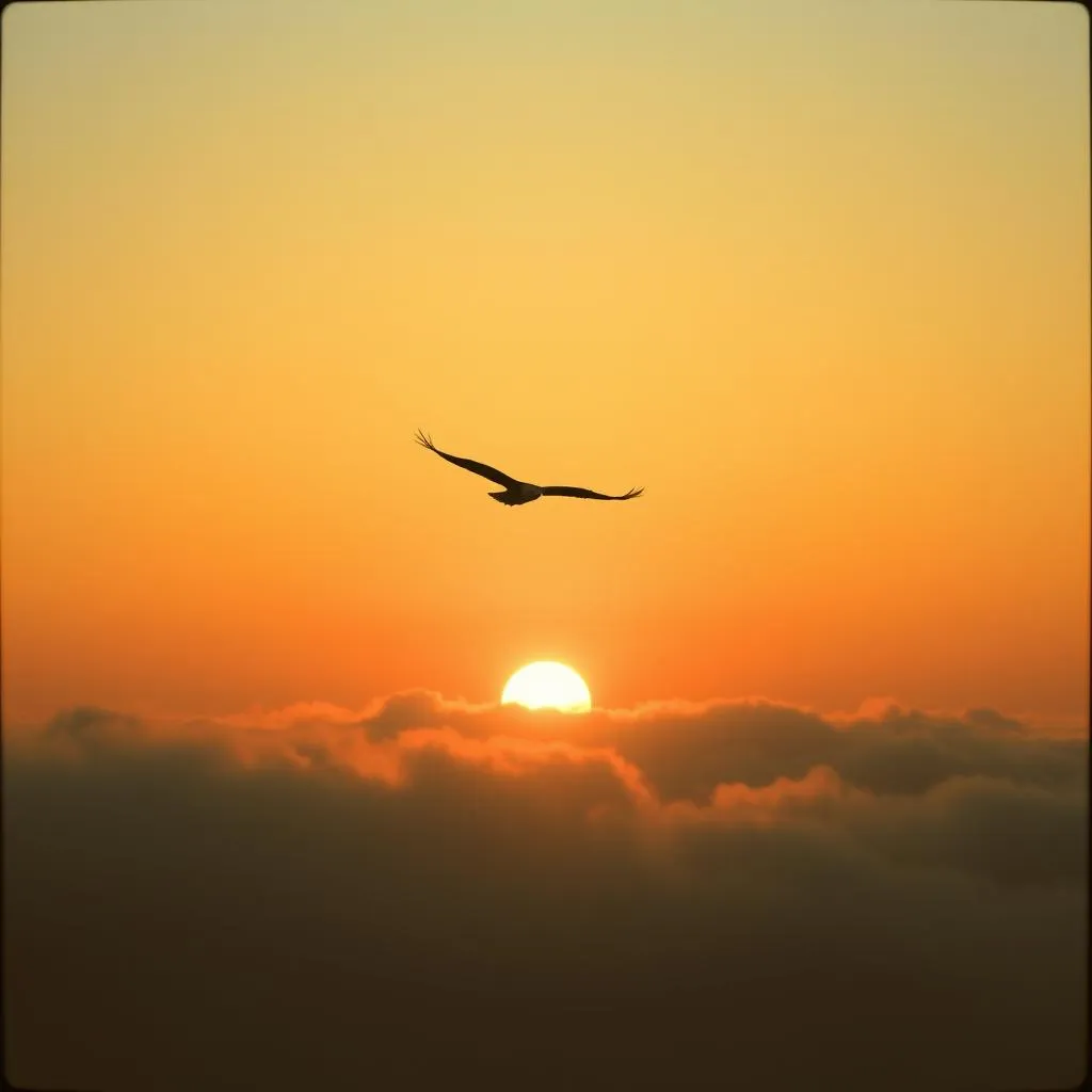 Chasing the Sun