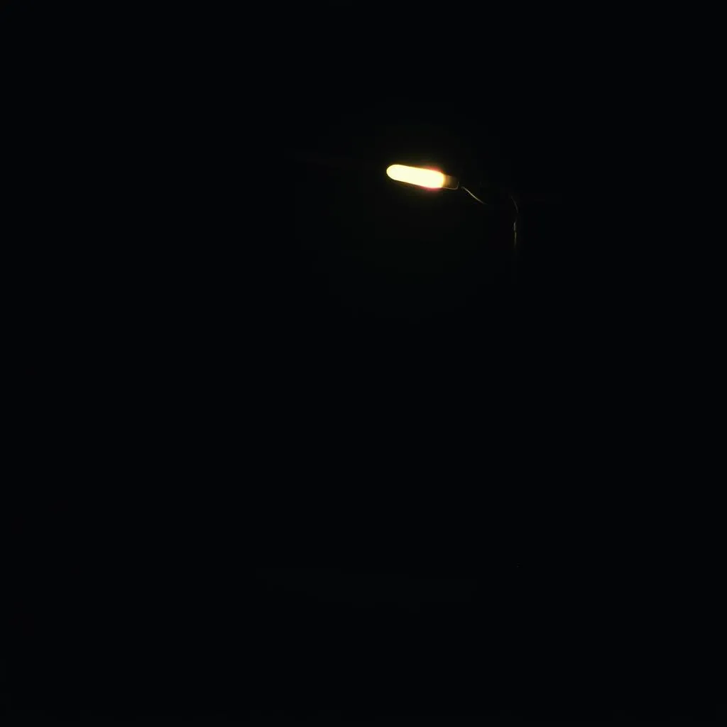 Black Out Paradise