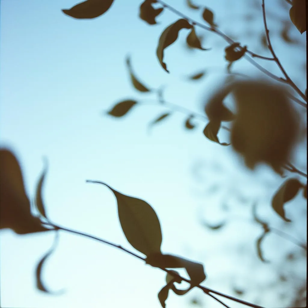 Colors Fading