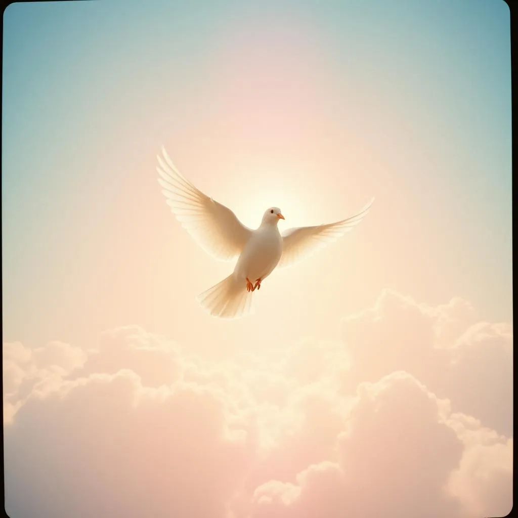 Faith on Fire