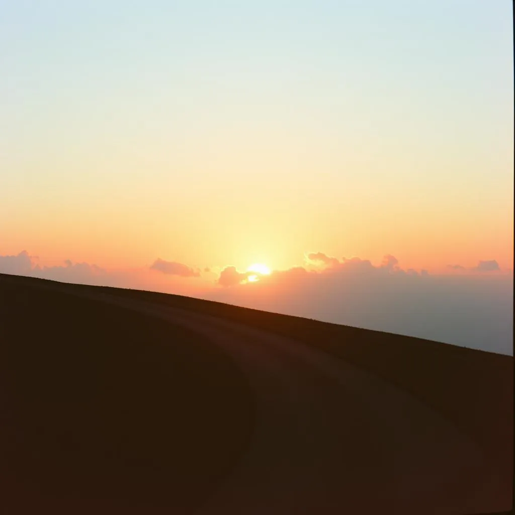 Chasing the Dawn